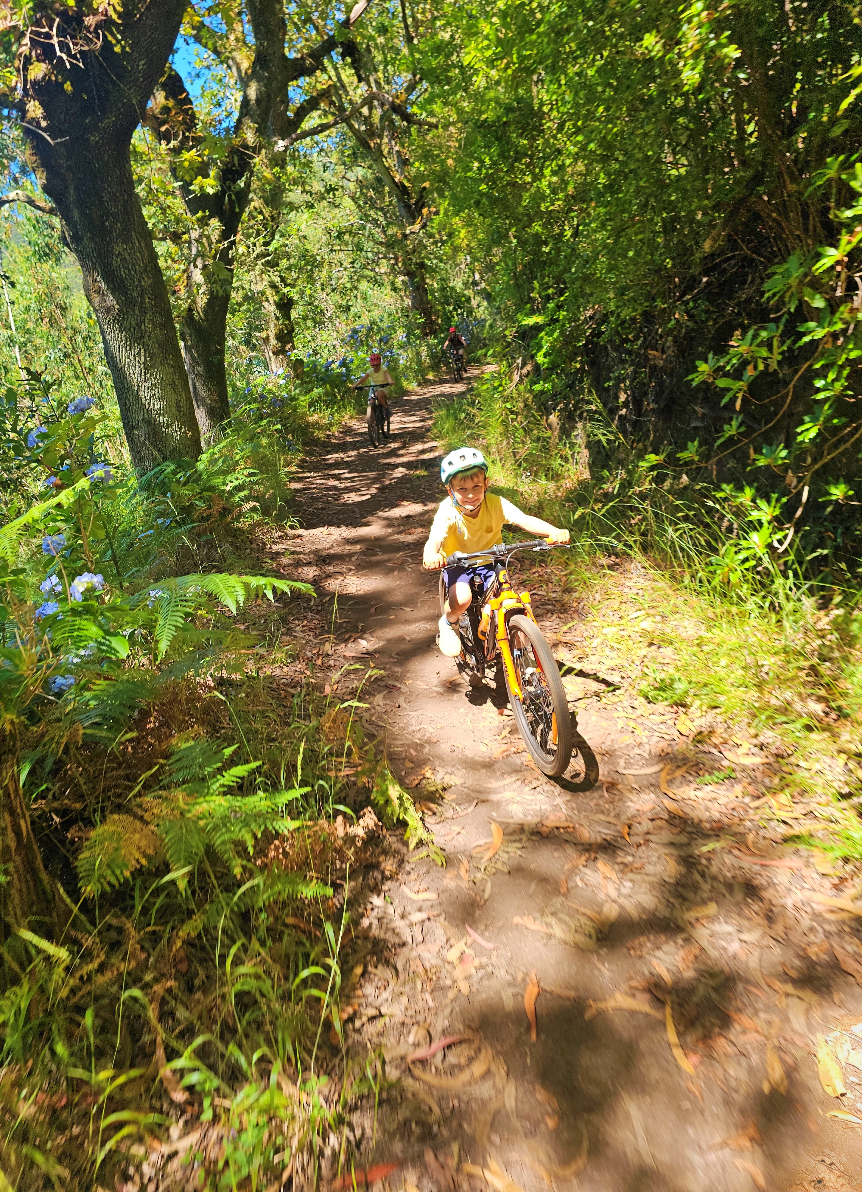 Family bike tour with scenic views in Madeira.