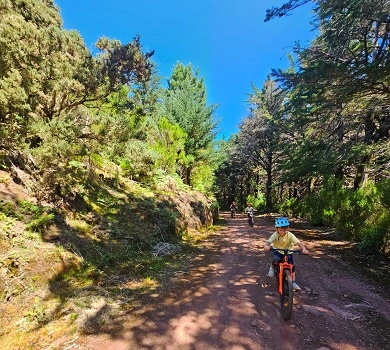 Family enjoying the easy trail of the Medium Challenge tour.