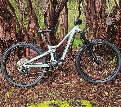 Madeira MTB