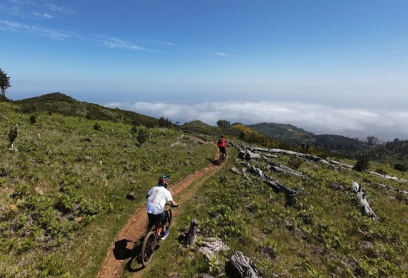 madeira tours for kids