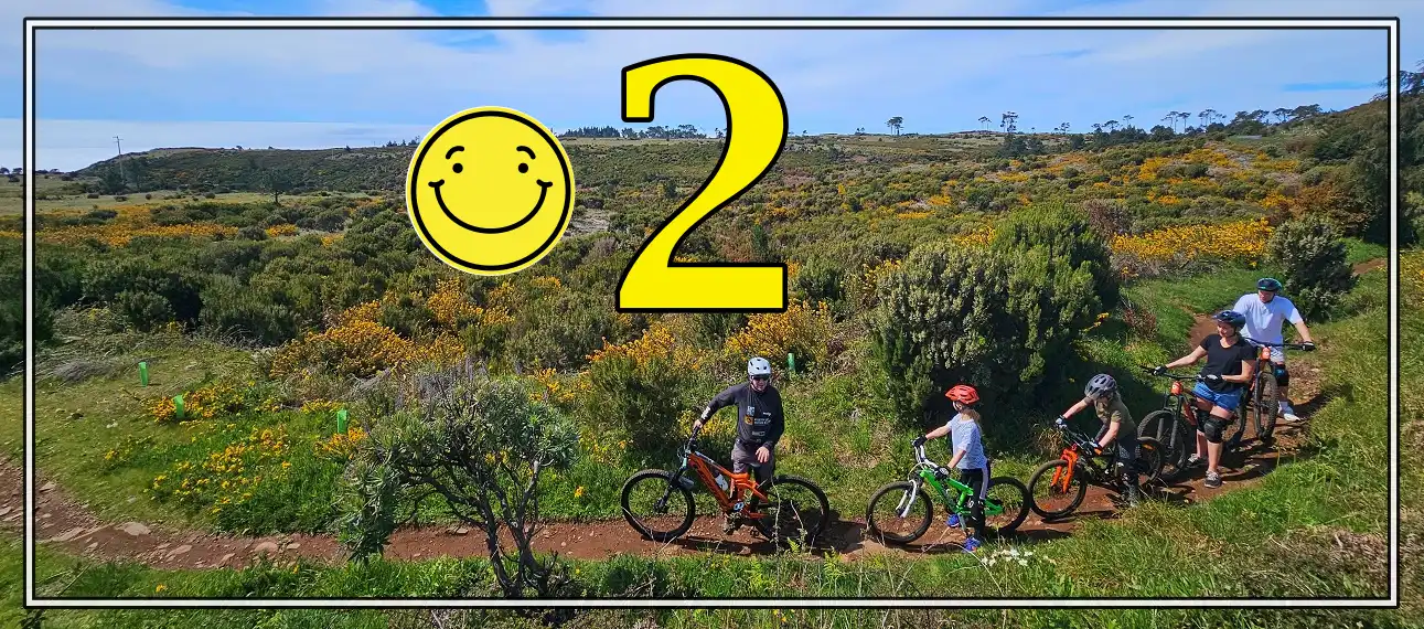 Video Aerial view of a family biking.